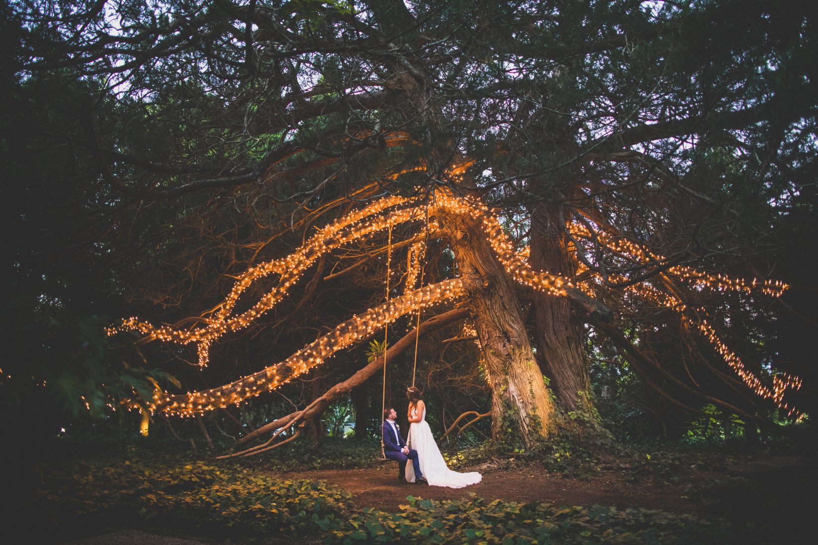 jaspers berry fairy lights