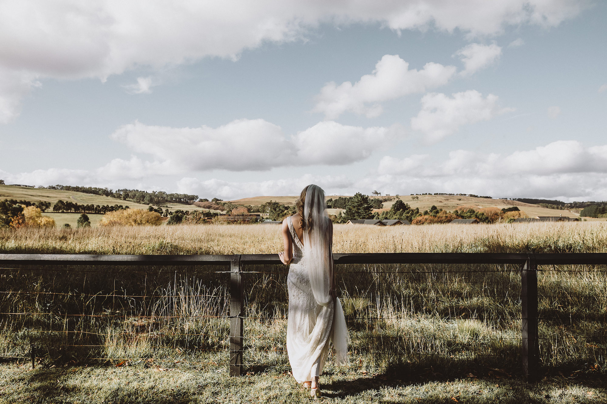 a bride walking into the paddock