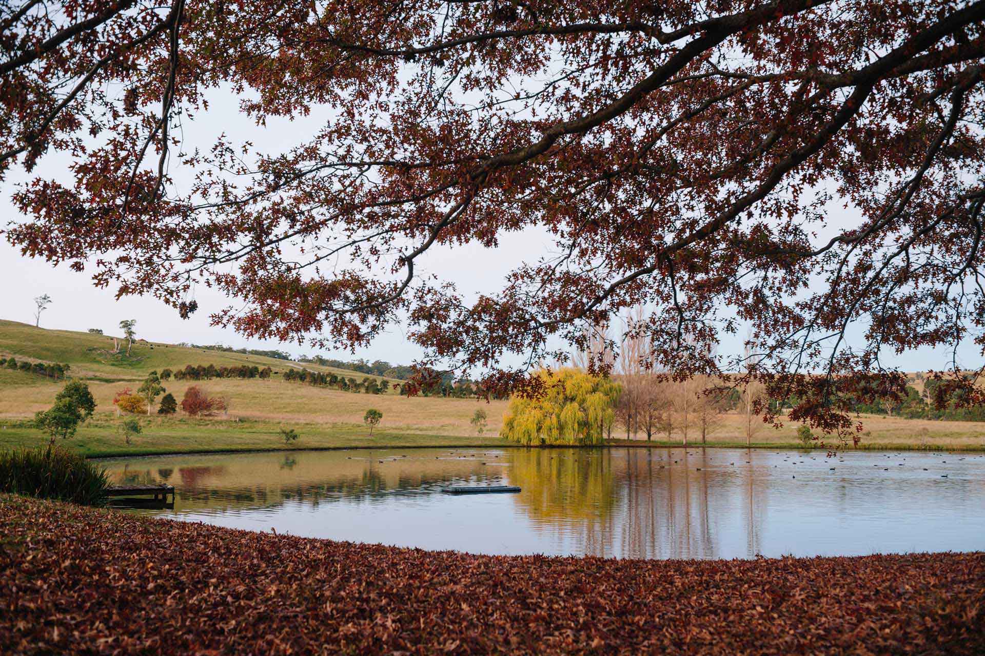 southern highland wedding venues 1