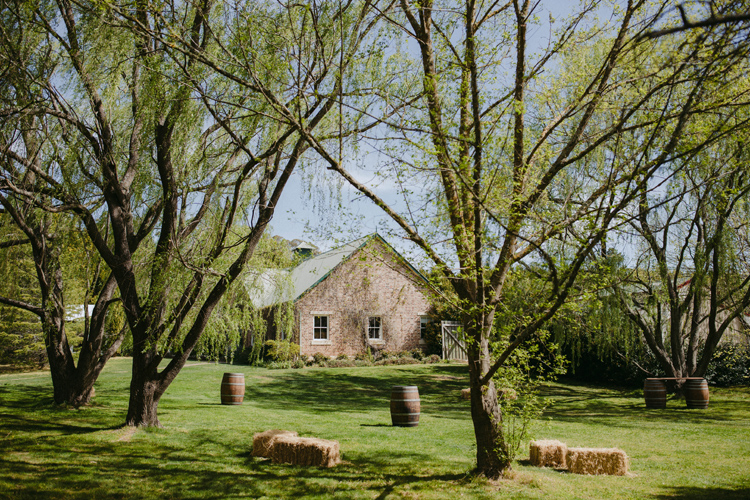 the barn at montrose berry farm