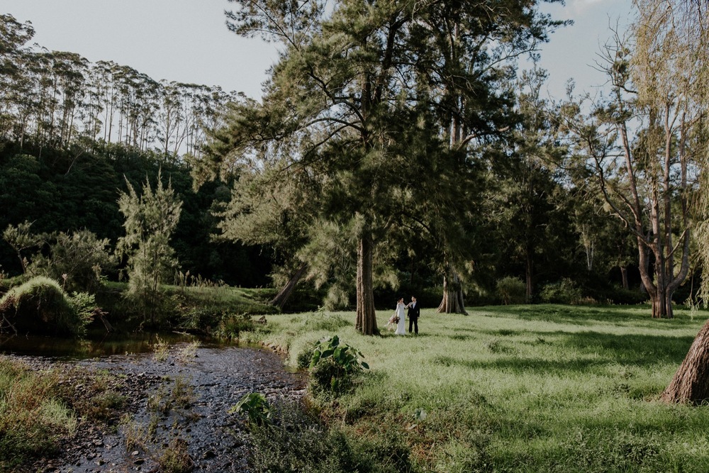 willow farm land