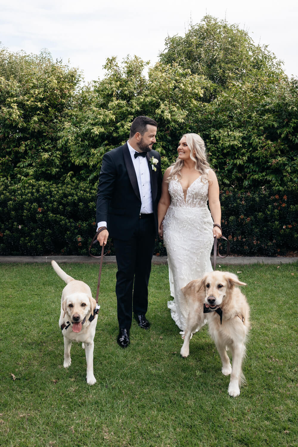 couple with their dogs at their peterson house wedding